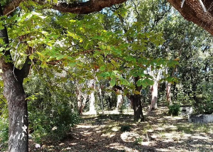 Ferienhaus A Musella