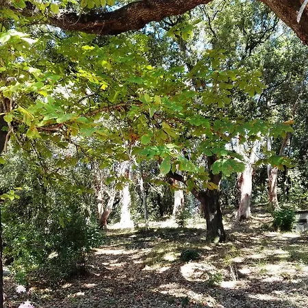 Nyaraló A Musella