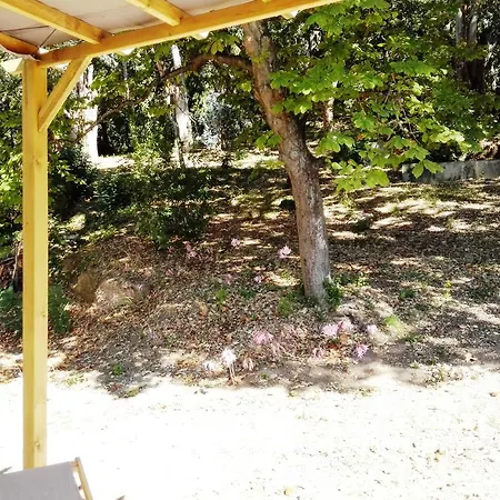 A Musella Holiday home Patrimonio